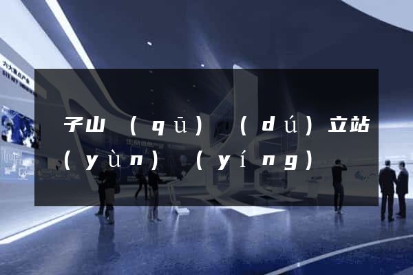 獅子山區(qū)獨(dú)立站運(yùn)營(yíng)