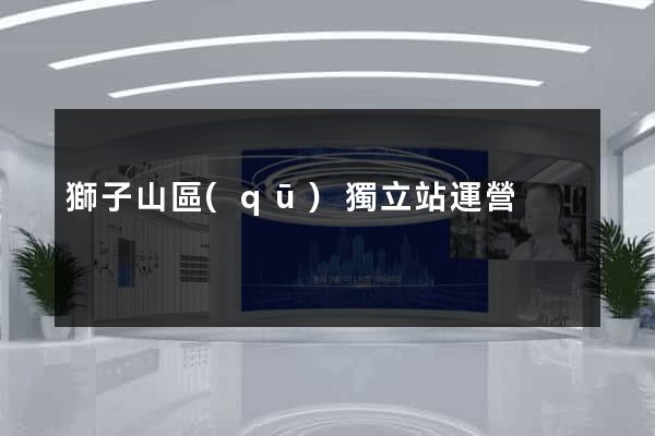 獅子山區(qū)獨立站運營