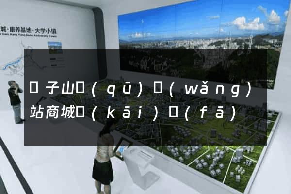 獅子山區(qū)網(wǎng)站商城開(kāi)發(fā)