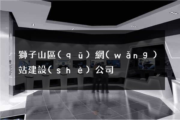 獅子山區(qū)網(wǎng)站建設(shè)公司
