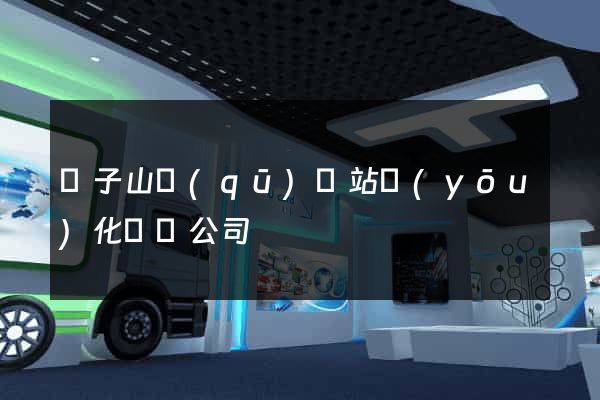 獅子山區(qū)網站優(yōu)化設計公司