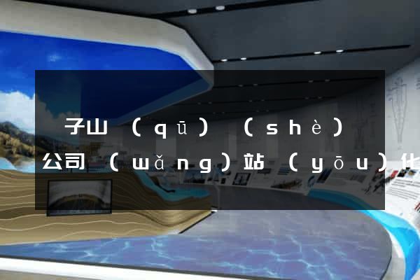 獅子山區(qū)設(shè)計公司網(wǎng)站優(yōu)化