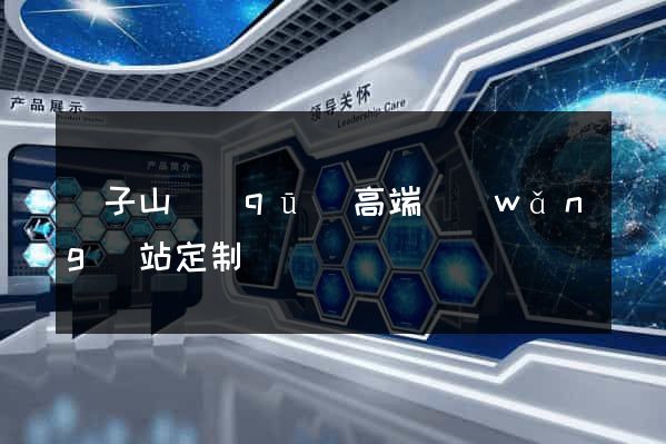 獅子山區(qū)高端網(wǎng)站定制
