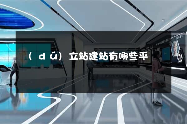 獨(dú)立站建站有哪些平臺
