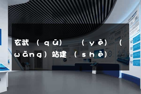 玄武區(qū)專業(yè)網(wǎng)站建設(shè)