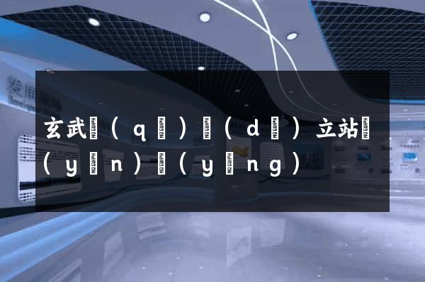 玄武區(qū)獨(dú)立站運(yùn)營(yíng)