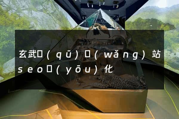 玄武區(qū)網(wǎng)站seo優(yōu)化