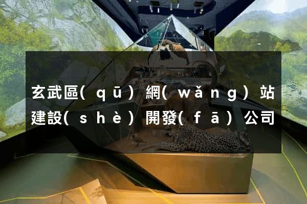 玄武區(qū)網(wǎng)站建設(shè)開發(fā)公司