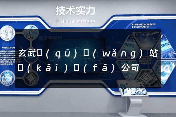 玄武區(qū)網(wǎng)站開(kāi)發(fā)公司