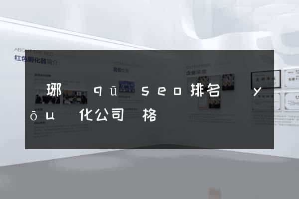 瑯琊區(qū)seo排名優(yōu)化公司價格