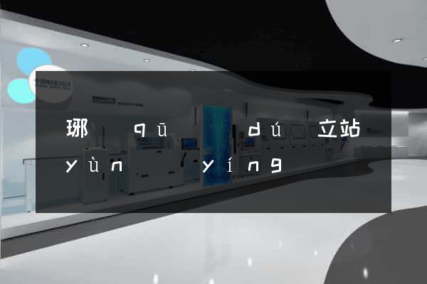 瑯琊區(qū)獨(dú)立站運(yùn)營(yíng)