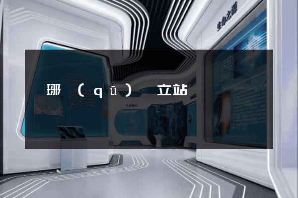 瑯琊區(qū)獨立站運營