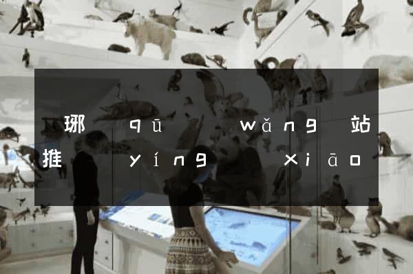 瑯琊區(qū)網(wǎng)站推廣營(yíng)銷(xiāo)