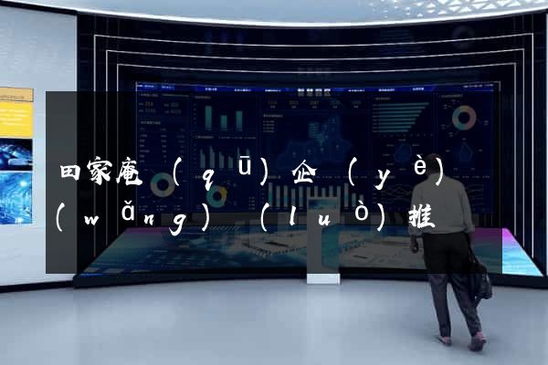 田家庵區(qū)企業(yè)網(wǎng)絡(luò)推廣