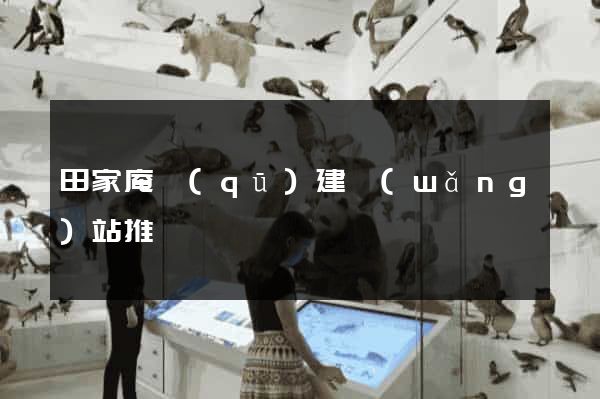 田家庵區(qū)建網(wǎng)站推廣