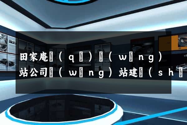 田家庵區(qū)網(wǎng)站公司網(wǎng)站建設(shè)