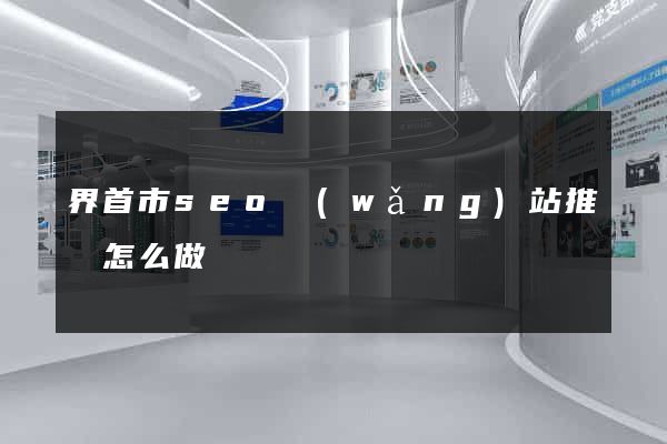 界首市seo網(wǎng)站推廣怎么做