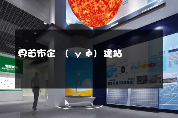界首市企業(yè)建站