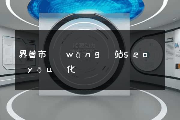 界首市網(wǎng)站seo優(yōu)化