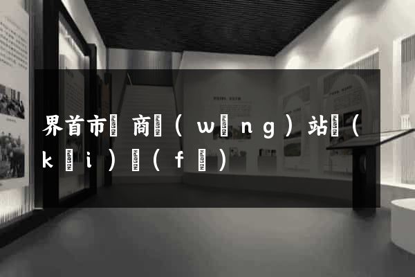 界首市電商網(wǎng)站開(kāi)發(fā)
