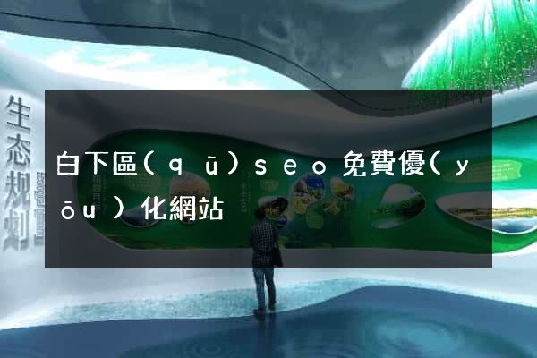 白下區(qū)seo免費優(yōu)化網站