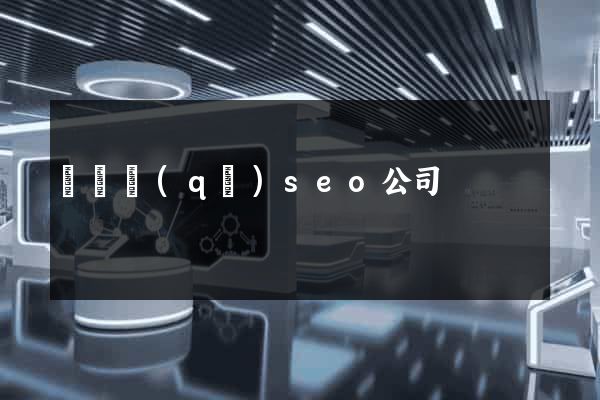 盧灣區(qū)seo公司