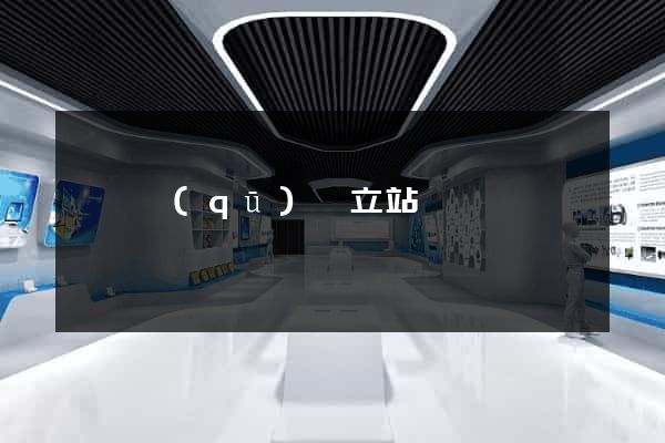 盧灣區(qū)獨立站運營