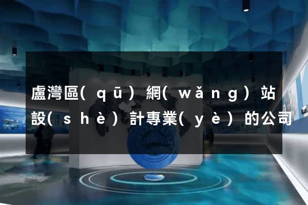 盧灣區(qū)網(wǎng)站設(shè)計專業(yè)的公司