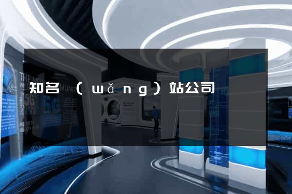知名網(wǎng)站公司