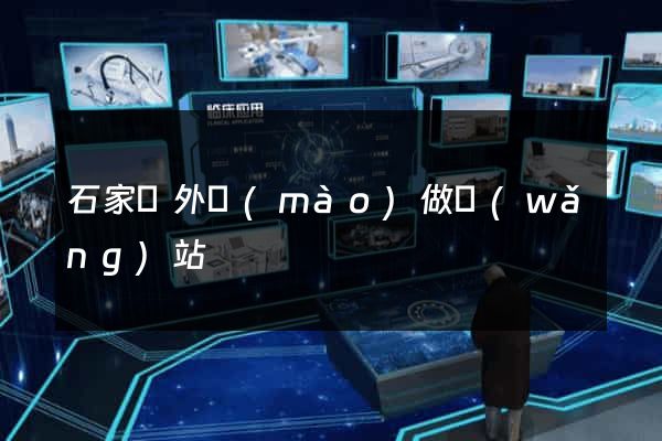 石家莊外貿(mào)做網(wǎng)站