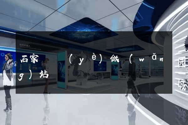 石家莊專業(yè)做網(wǎng)站