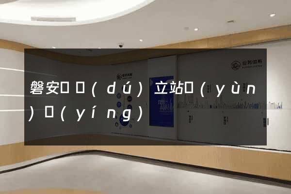磐安縣獨(dú)立站運(yùn)營(yíng)