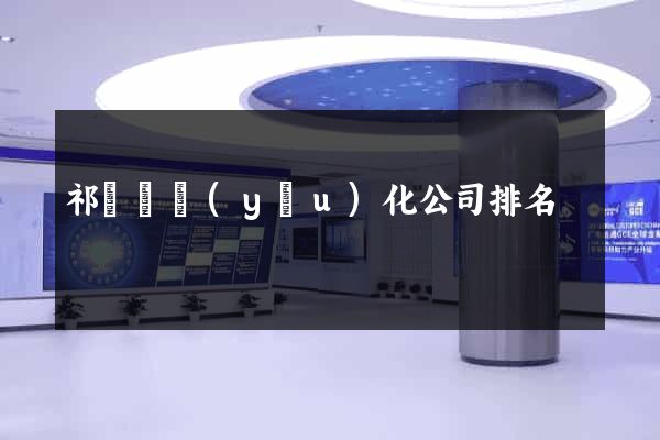 祁門縣優(yōu)化公司排名
