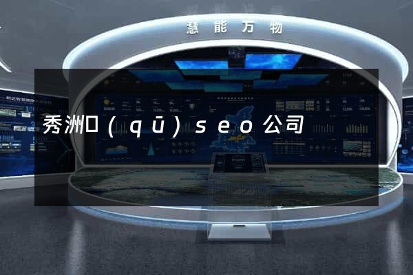 秀洲區(qū)seo公司