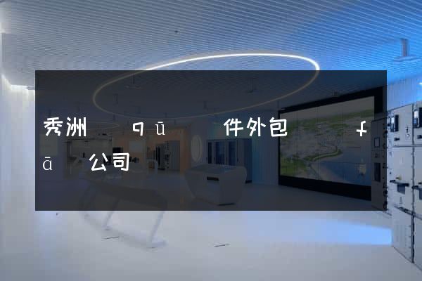 秀洲區(qū)軟件外包開發(fā)公司