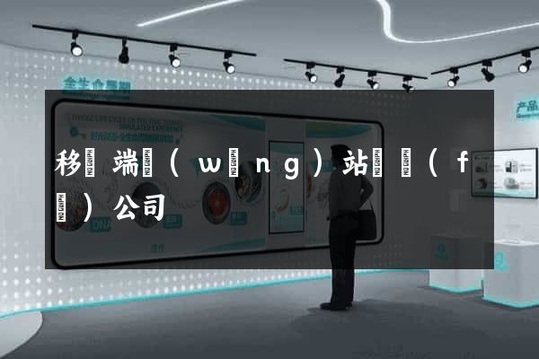 移動端網(wǎng)站開發(fā)公司