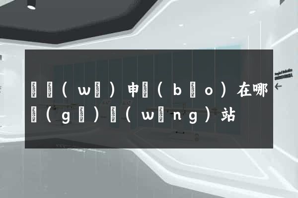 稅務(wù)申報(bào)在哪個(gè)網(wǎng)站
