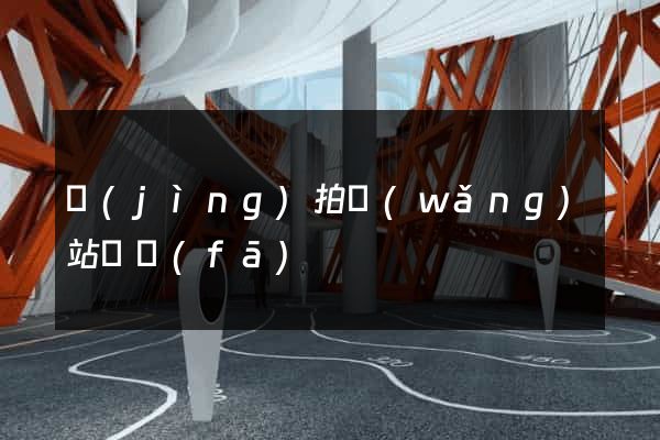 競(jìng)拍網(wǎng)站開發(fā)