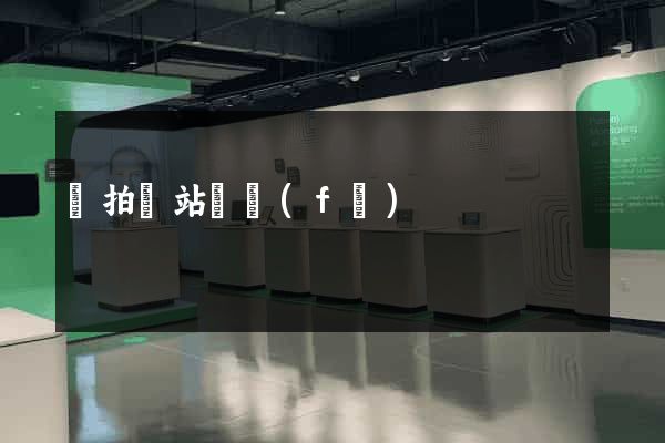 競拍網站開發(fā)