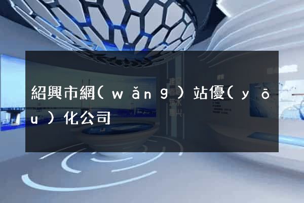 紹興市網(wǎng)站優(yōu)化公司