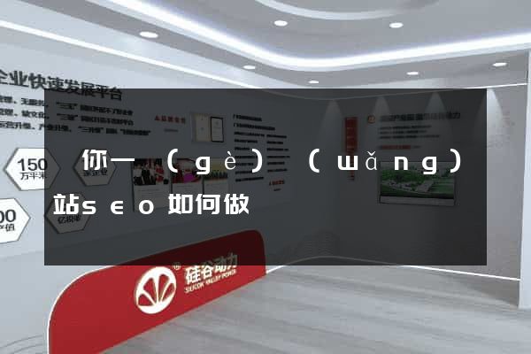 給你一個(gè)網(wǎng)站seo如何做