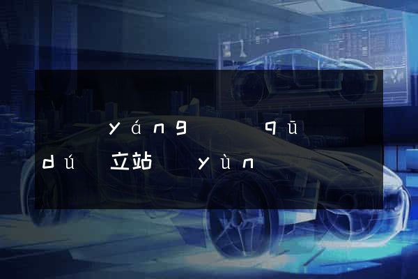 維揚(yáng)區(qū)獨(dú)立站運(yùn)營