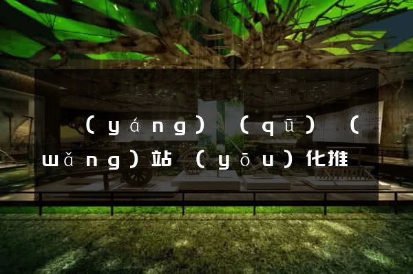 維揚(yáng)區(qū)網(wǎng)站優(yōu)化推廣