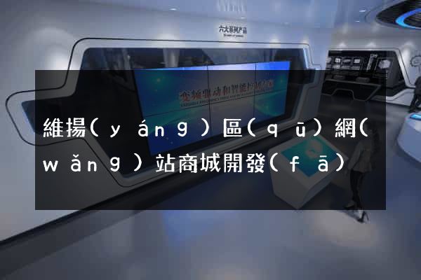 維揚(yáng)區(qū)網(wǎng)站商城開發(fā)
