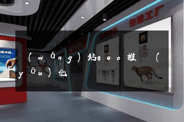 網(wǎng)站seo推廣優(yōu)化