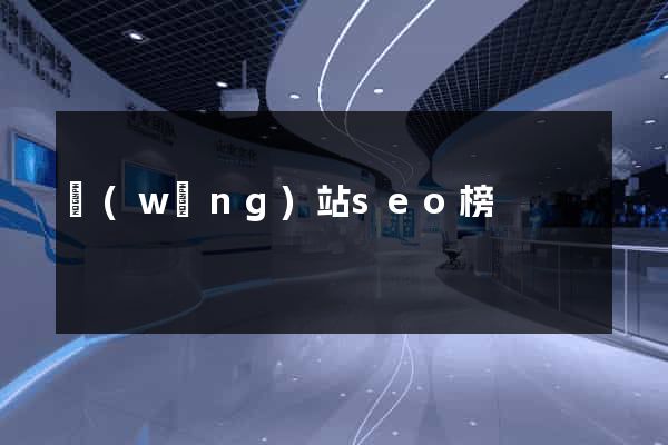 網(wǎng)站seo榜