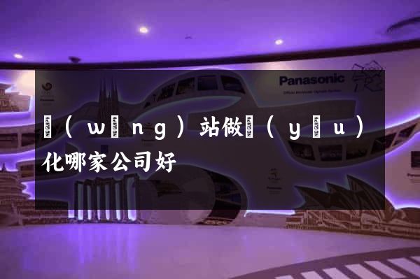 網(wǎng)站做優(yōu)化哪家公司好