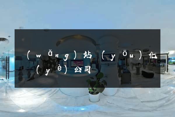 網(wǎng)站優(yōu)化專業(yè)公司