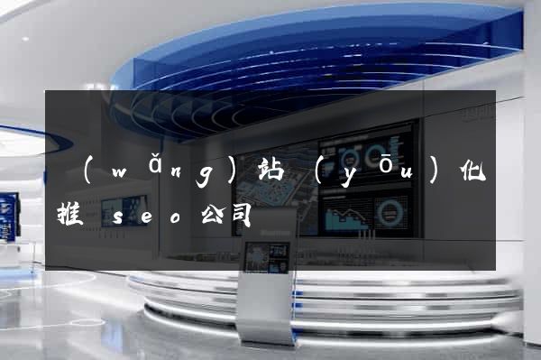 網(wǎng)站優(yōu)化推廣seo公司