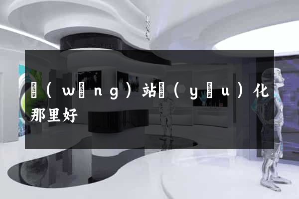 網(wǎng)站優(yōu)化那里好